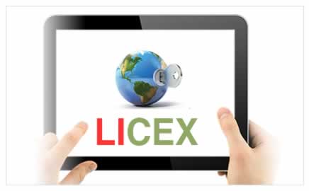 Gestión LICEX