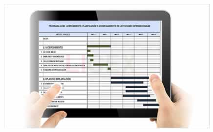 Planificación LICEX